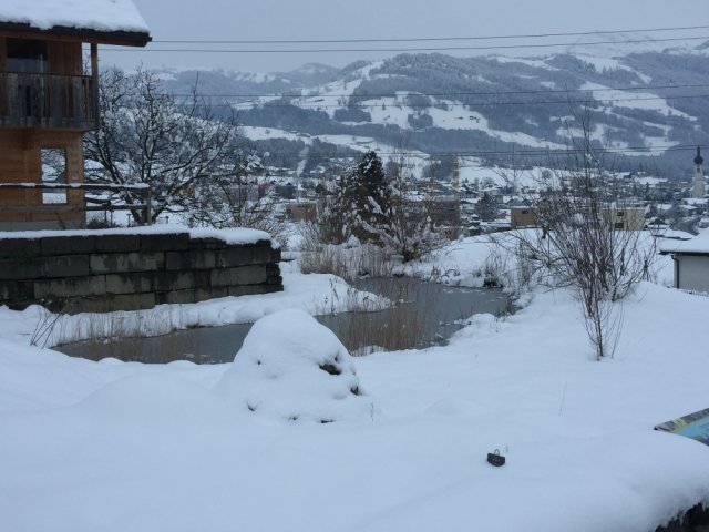 winter 1